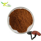 Natural Ganoderma Lucidum Extract Polysaccharides 30% Organic Red Reishi Mushroom Extract Powder